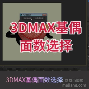 基偶面选择 3Dmax脚本插件