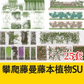 垂直绿化攀爬藤本植物紫藤常春藤爬山虎吊藤蔓景观草图大师SU模型