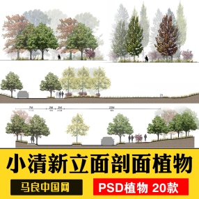 景观小清新树木psd植物PS平面立面剖面效果图海绵城市规划素材