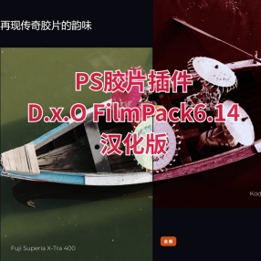 PS胶片插件专业级胶片调色神器——D.x.O FilmPack6.14.0 WIN中文版