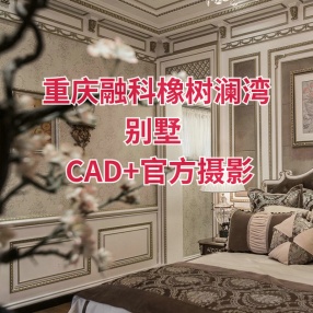 品辰设计 | 重庆融科城二期C户型融科橡树澜湾别墅 | CAD+官方摄影