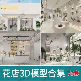 75套花店3D模型合集（现代花店3D模型/绿植/花架/植物鲜花等）共33G